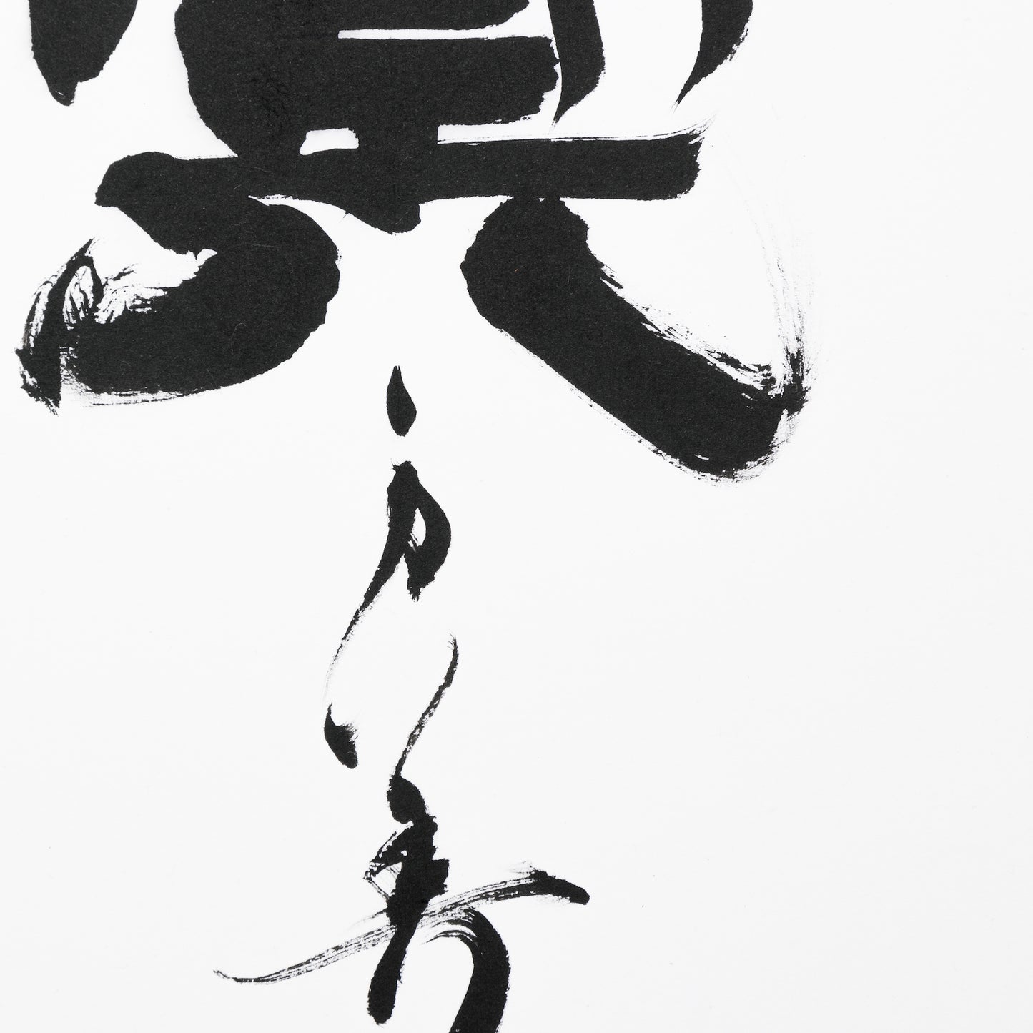 水金地火木土天海冥(額装)